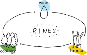RINES ecology human water